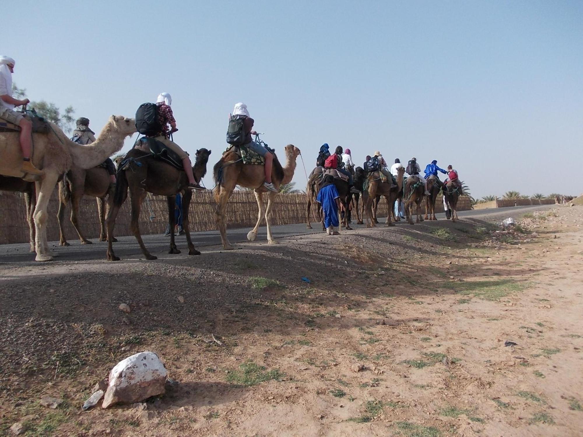 فندق Bivouac Draa زڭورة المظهر الخارجي الصورة