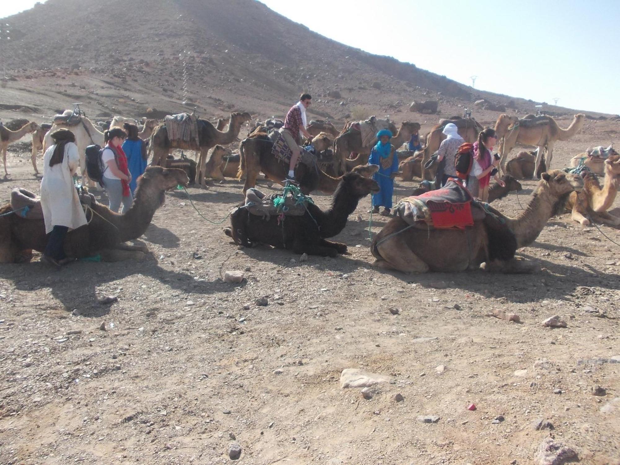 فندق Bivouac Draa زڭورة المظهر الخارجي الصورة