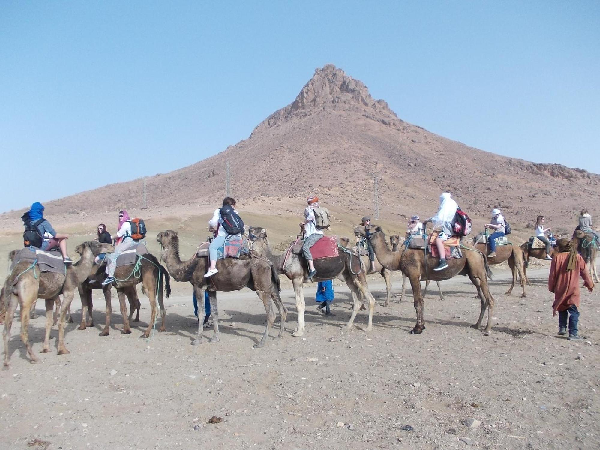 فندق Bivouac Draa زڭورة المظهر الخارجي الصورة